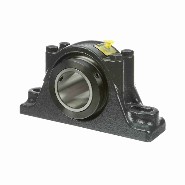 Mounted Cast Iron Two Bolt Pillow Block Tapered Roller, RPB 207-C2